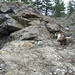 Scott Dumont Photo 18