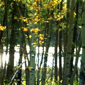 Janet Bowers Photo 9