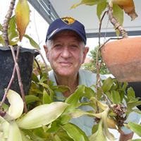 Michael Conlan Photo 26