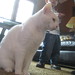 Kitty Carter Photo 30