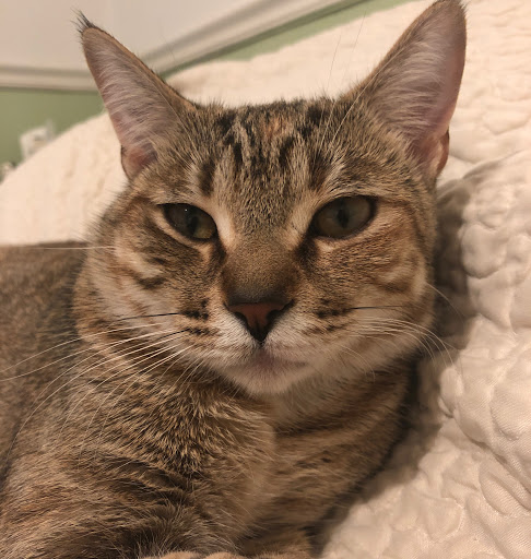 Michele Weaver Photo 35