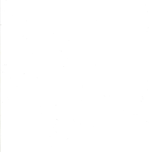 April Ferguson Photo 26