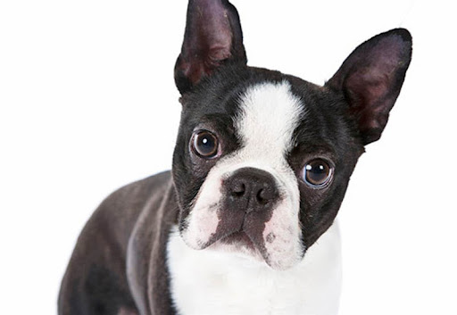 Lori Delaney Photo 7