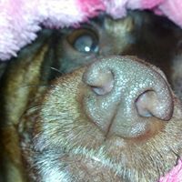 Jodie Heffner Photo 2