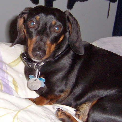 Annette Hale Photo 28