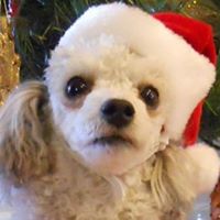 Carol Click Photo 10