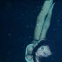 Sam Monroe Photo 22