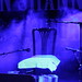 Sharon Shannon Photo 14