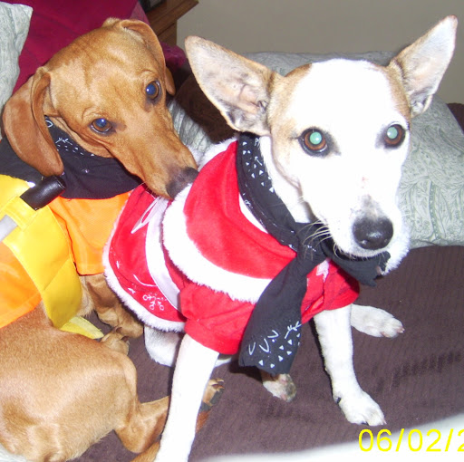 Rhonda Maxwell Photo 31