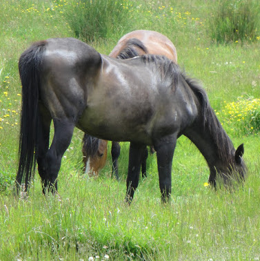 Sharon Fraser Photo 31