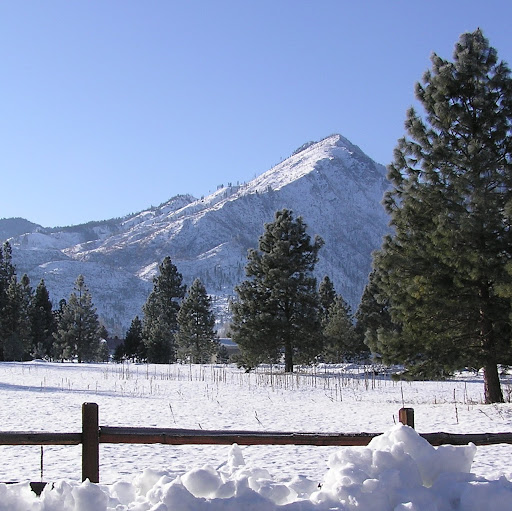 Susan Aldrich Photo 27