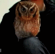 Dwayne Mcdaniel Photo 22