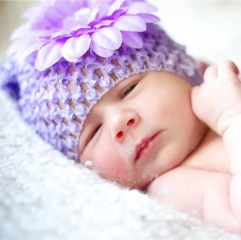 Crystal Fox Photo 25