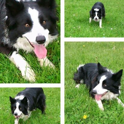 Jenny Stevenson Photo 18