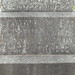 Theodore Wiley Photo 16