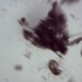 Richard Huang Photo 41