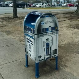 Daniel Shields Photo 12