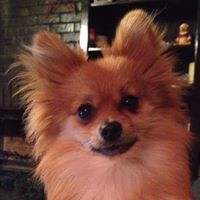 Shelly Rogers Photo 11