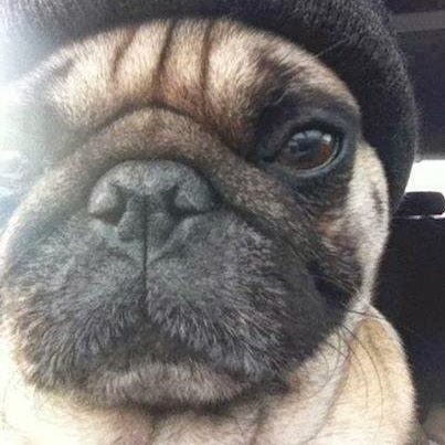 Meghan Matthews Photo 7