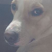 Jill Huffman Photo 7