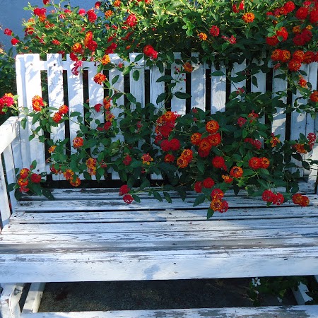 Kathy Moss Photo 26