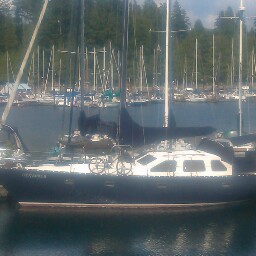 Judith Morgan Photo 11