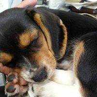 Eddie Horton Photo 22