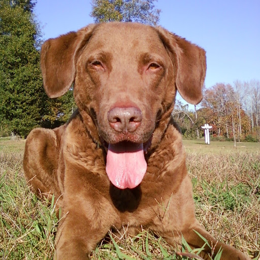 Paul Vaughn Photo 31