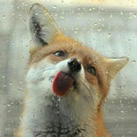 Jeremy Langley Photo 12