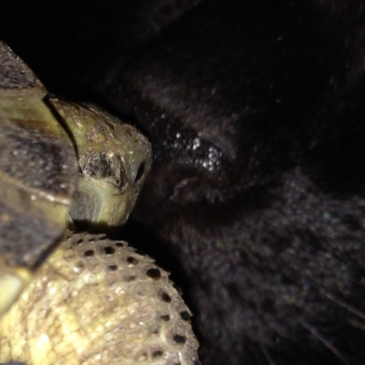 Catherine Rieker Photo 1