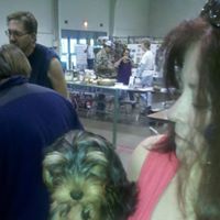 Jill Todd Photo 13