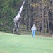 Brandon Griffis Photo 16