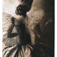 Caroline Connor Photo 12