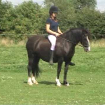 Laura Gibbons Photo 38