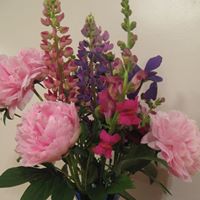 Shari Keefe Photo 5
