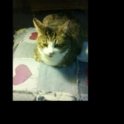 Kathy Chambers Photo 11