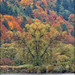 Thomas Eddy Photo 10