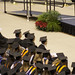 Brian Cason Photo 17