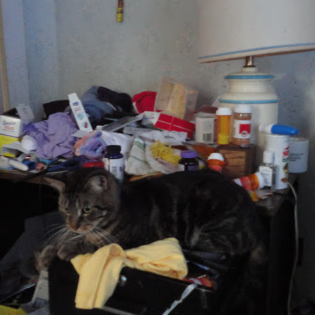 Teresa Cooley Photo 10