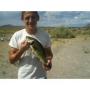 Steven Nagy Photo 9