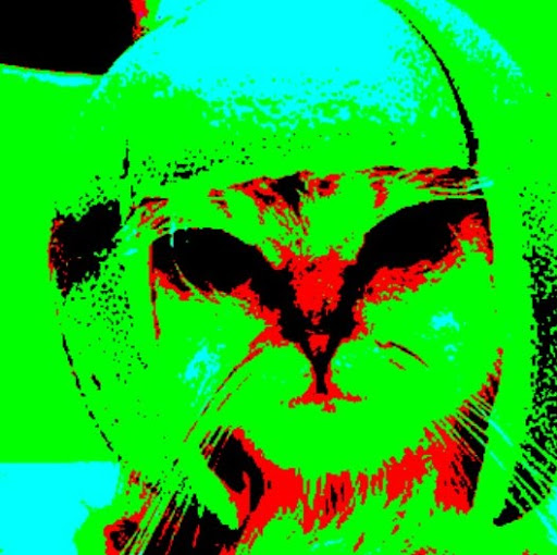 Savannah Russell Photo 23