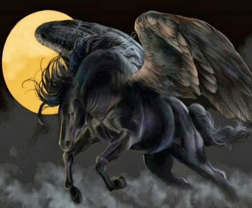 Thomas Jack Photo 32