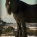 January Price Photo 4