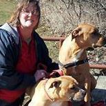 Julie Seward Photo 14