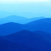 Susan Snider Photo 12