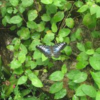 Tracey Rodgers Photo 11