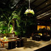 Christina Soares Photo 33