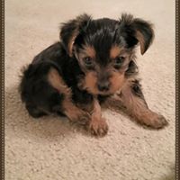 Elizabeth Pennington Photo 15