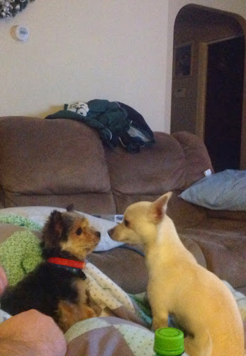 Robyn Stafford Photo 10