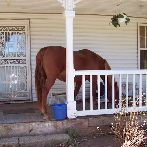 Donna Thomason Photo 2